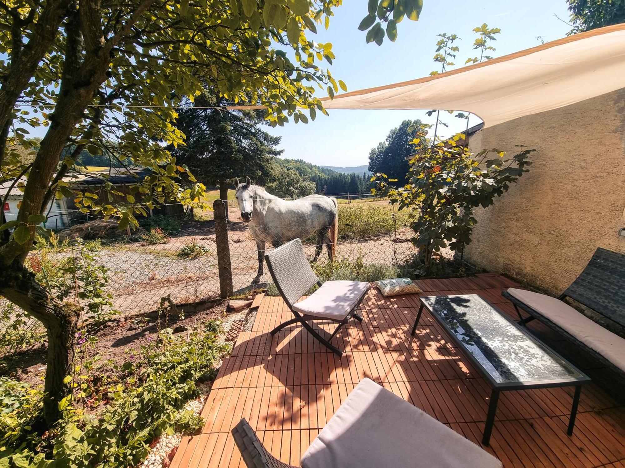 2 Zimmer Wohnung Mit Traumhaftem Blick In Die Natur Neustadt bei Coburg Extérieur photo